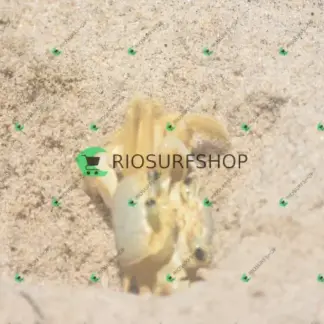 Foto 172 - Praia Brava - Angra 2026-02-25