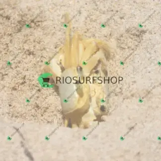 Foto 178 - Praia Brava - Angra 2026-02-25