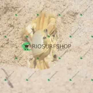 Foto 181 - Praia Brava - Angra 2026-02-25