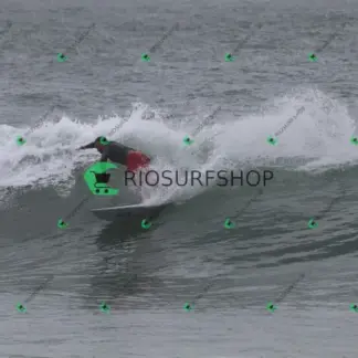 Foto 1061 - Canto do Recreio 2026-02-28