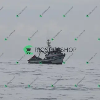 Foto 1164 - Canto do Recreio 2026-03-04