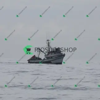 Foto 1167 - Canto do Recreio 2026-03-04