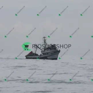 Foto 1170 - Canto do Recreio 2026-03-04