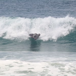 Video 1053 - CCB 2026-03-04