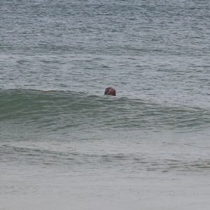 Video 421 - CCB 2026-03-08