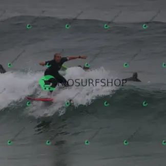 Foto 35 - Canto do Recreio 2026-03-10