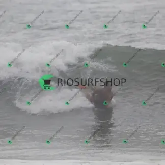 Foto 93 - Canto do Recreio 2026-03-13